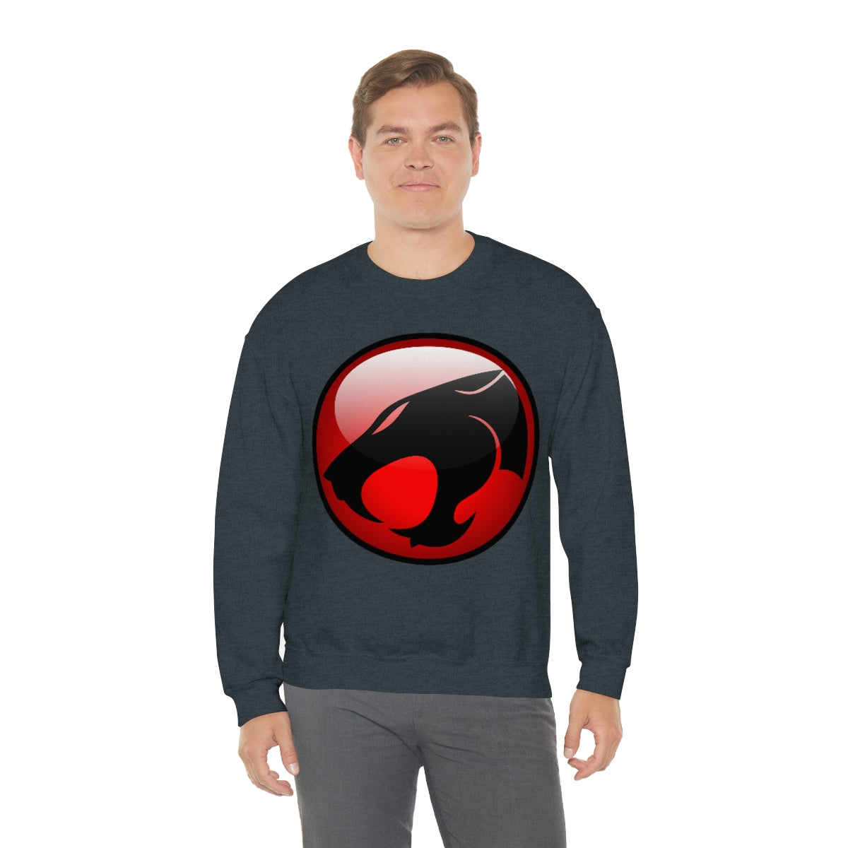 Thunder Cats Sweatshirt