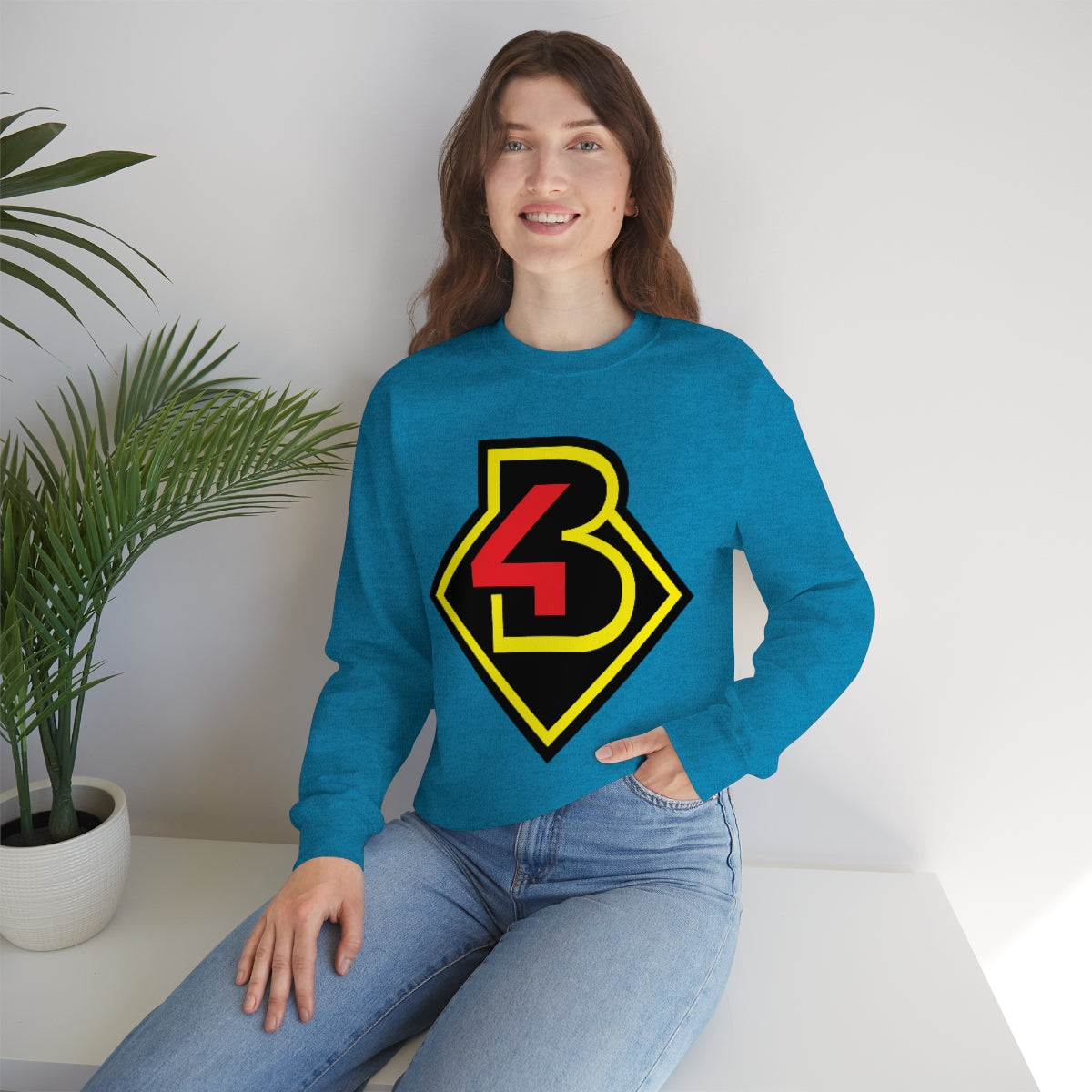B4 Sweatshirt