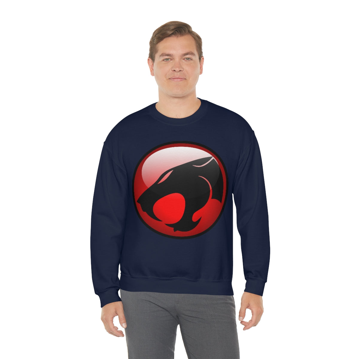 Thunder Cats Sweatshirt