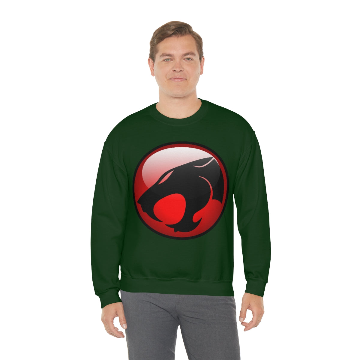 Thunder Cats Sweatshirt