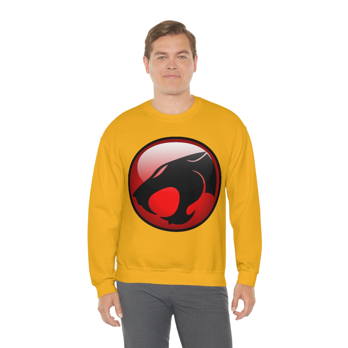 Thunder Cats Sweatshirt