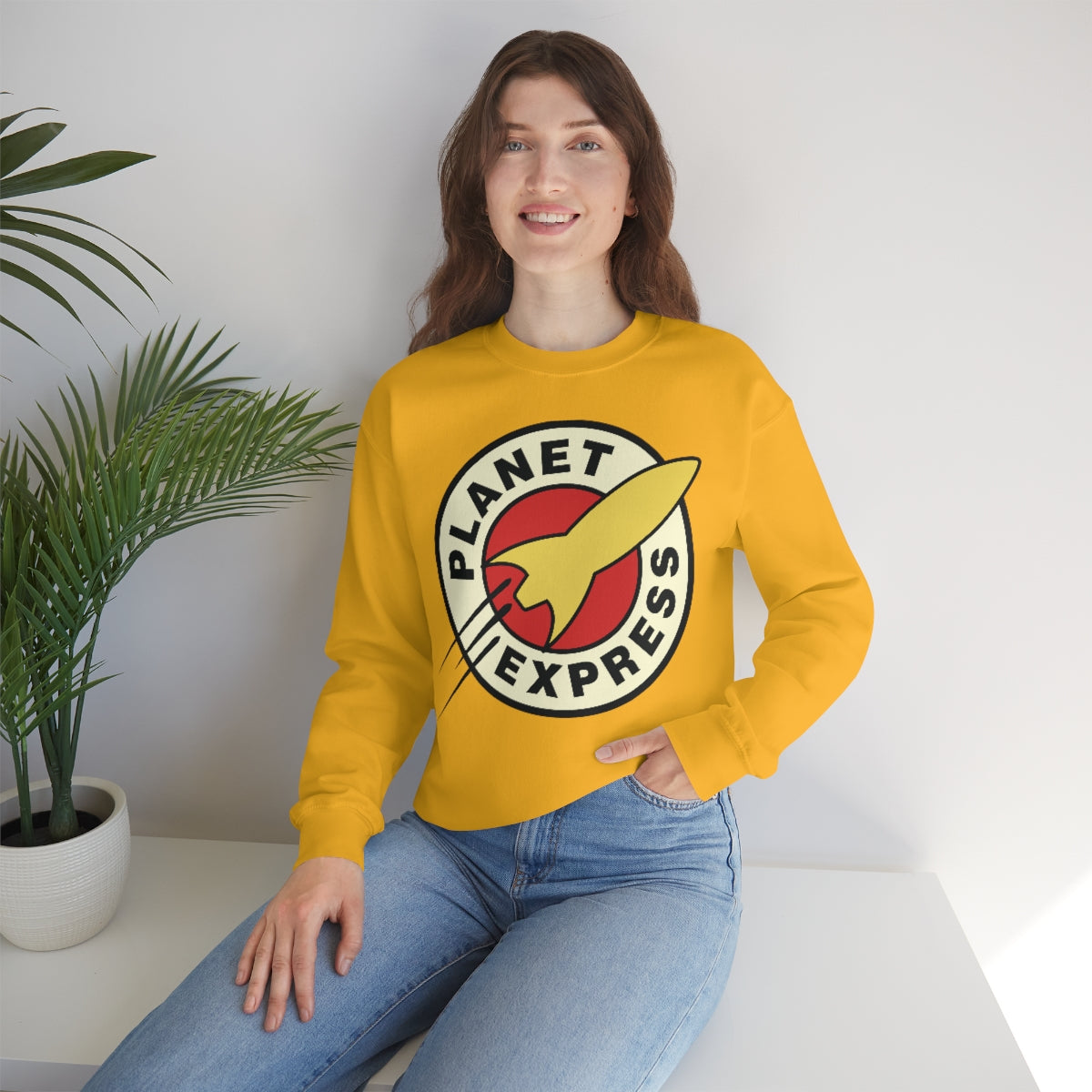 Express Sweatshirt
