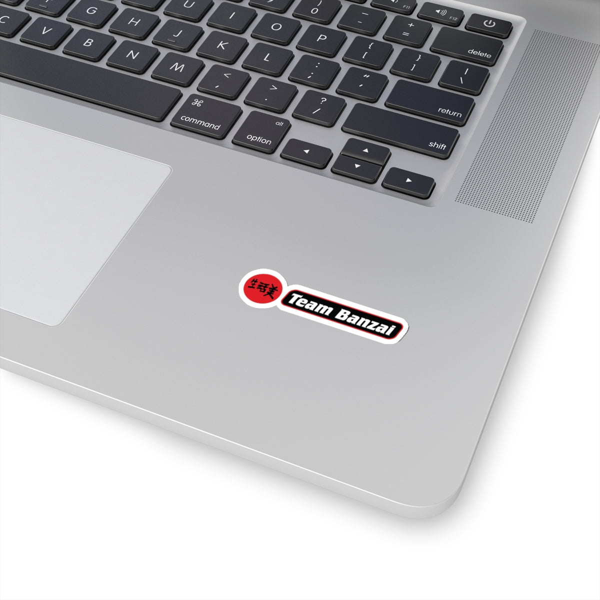BB - Team Banzai #2 Stickers