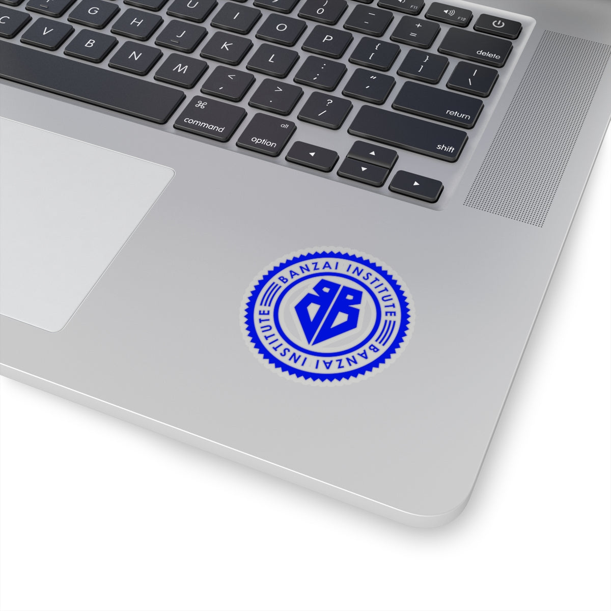BB - Banzai Institute Stickers