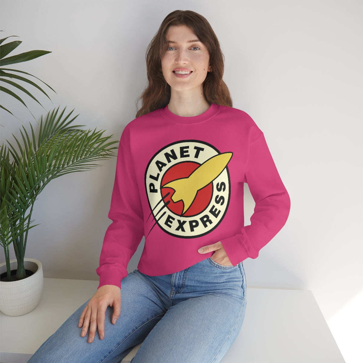 Express Sweatshirt