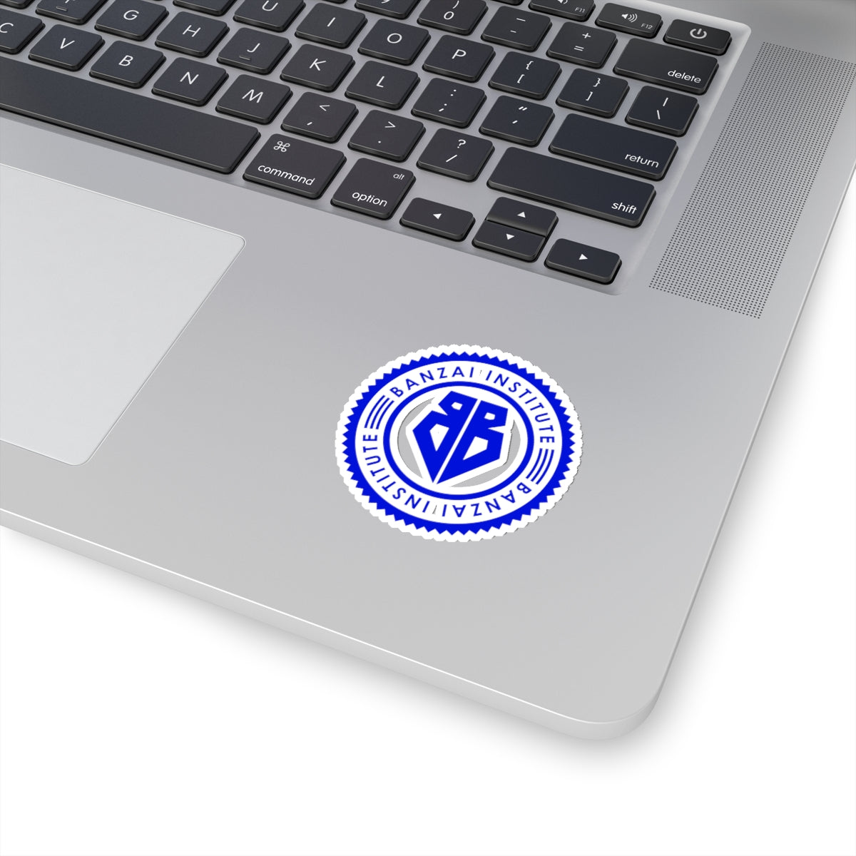 BB - Banzai Institute Stickers