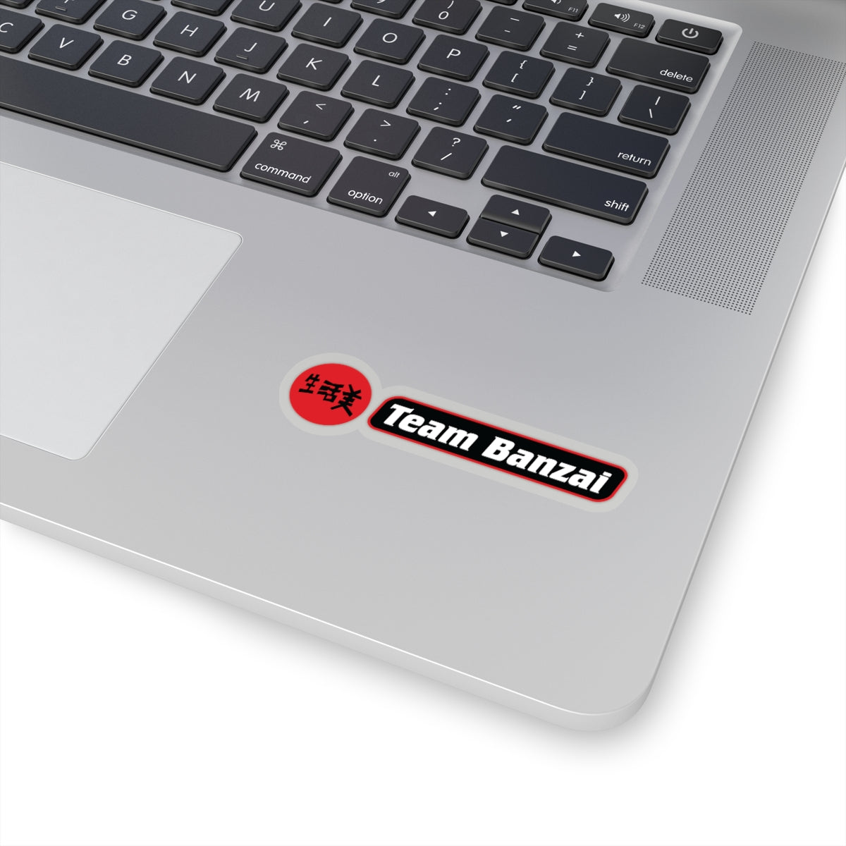 BB - Team Banzai #2 Stickers