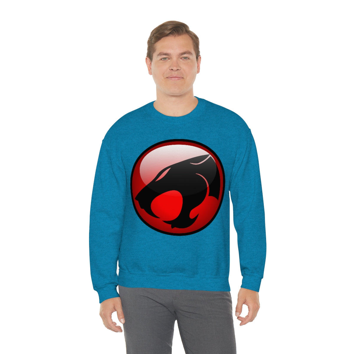 Thunder Cats Sweatshirt